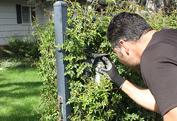 Gate Intercom Repair - Beverly Hills